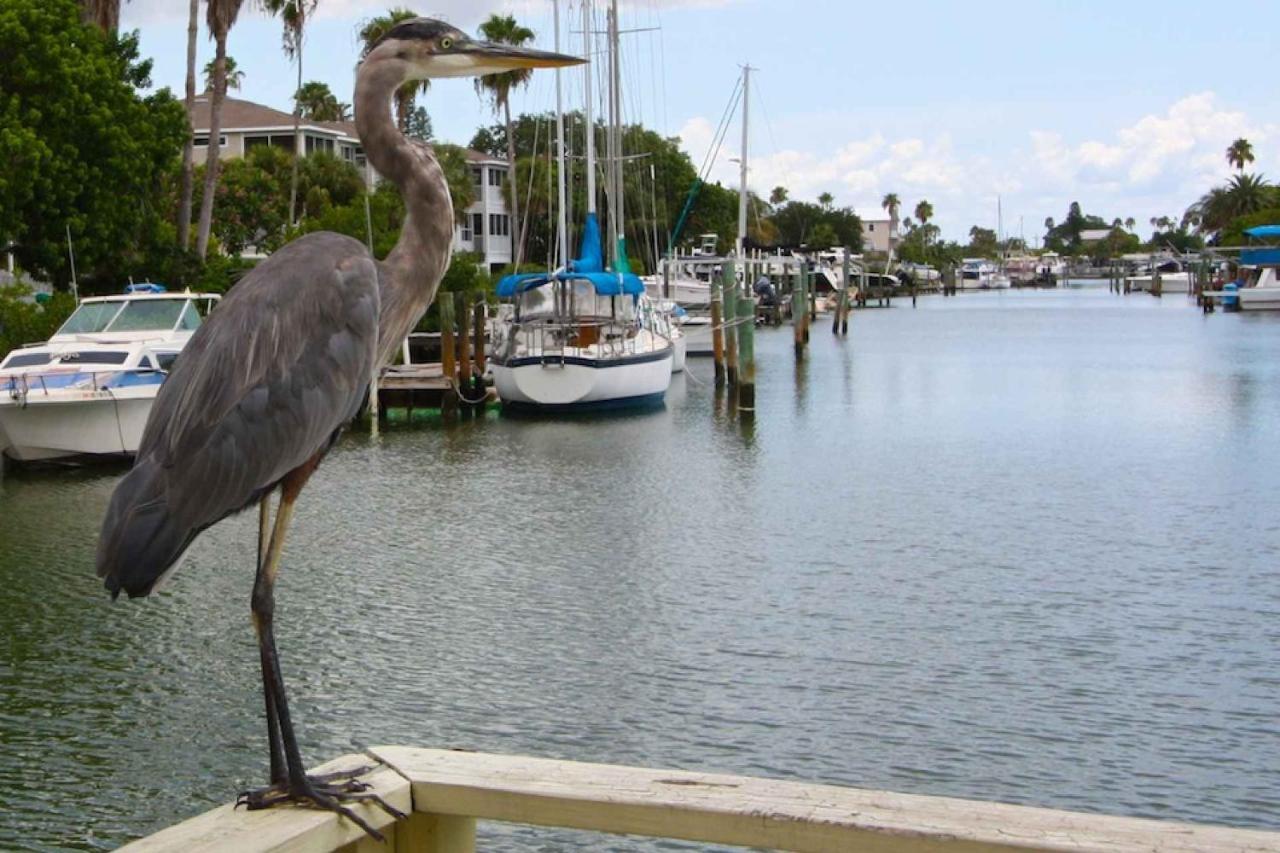 305 - Skyline Βίλα St. Pete Beach Εξωτερικό φωτογραφία